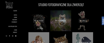 ANIMAL FOTO STUDIO